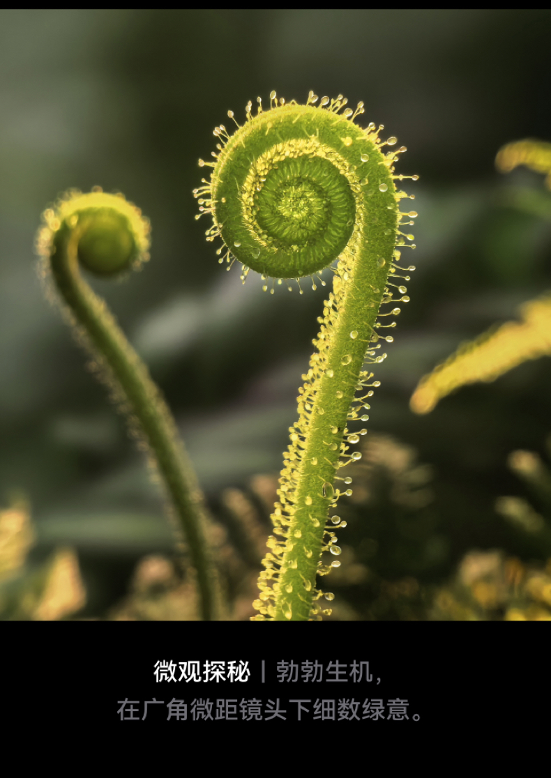 HUAWEI/华为  Mate XTs 非凡大师 16GB+1TB 皓白 ULTIMATE DESIGN插图34