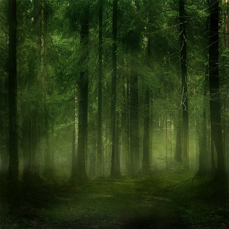 New Studio Green Forest Indoor Photography Background Cloth for Home Photo Studio Children's Natural Scenery Digital Photo Cloth