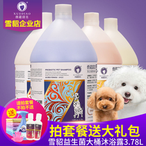 Ferret Remain dog body lotion Bath Dew Probiotic Large Barrel Teddy Gold Gross Dog Bath Lotion Universal Balm Pet Supplies