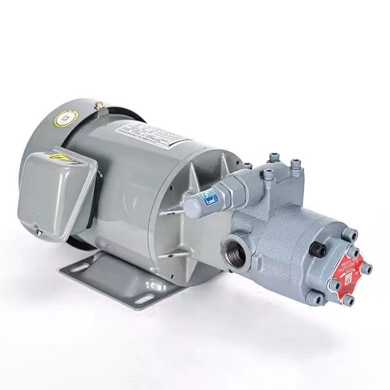 Japanese Nop Taiwan Weiliang Same Model Top Gear Pump Top-2My400-216Hbmvb Oil Pump Motor