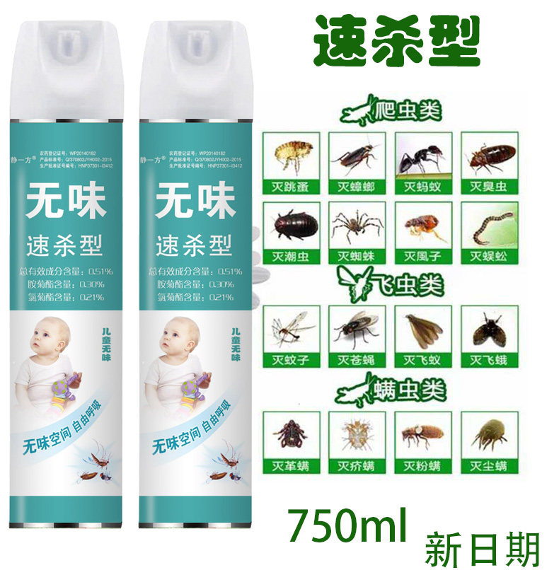 Insecticide Agent Home Quick Extermination Mosquito insect Insecticide Aerosol Cockroach Spray 750ml
