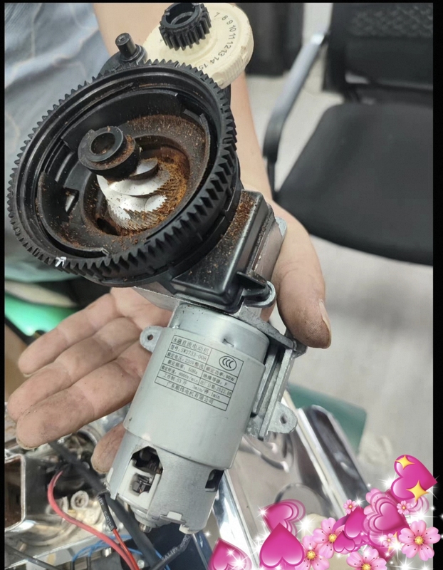 Xueliang Coffee Machine Bean Grinder Motor, Brand New Original Model Sw2733-008 Dc Motor