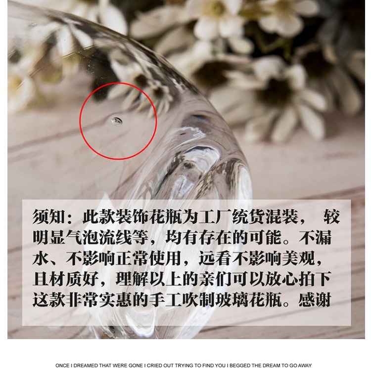 Bình thủy tinh châu Âu Sáng tạo hình khủng long trứng hình hoa khô cắm hoa Phòng khách phong phú tre trang trí trang trí - Trang trí nội thất trang trí sân thượng