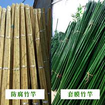 Vegetable rack bamboo pole 2346 m rack strip slender fence fence greenhouse skeleton Green support Rod Yam climbing vine