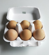 6 pulp - duck egg - box egg - box packing box egg - box box - white pulp - egg - box egg - box egg - pallet 6