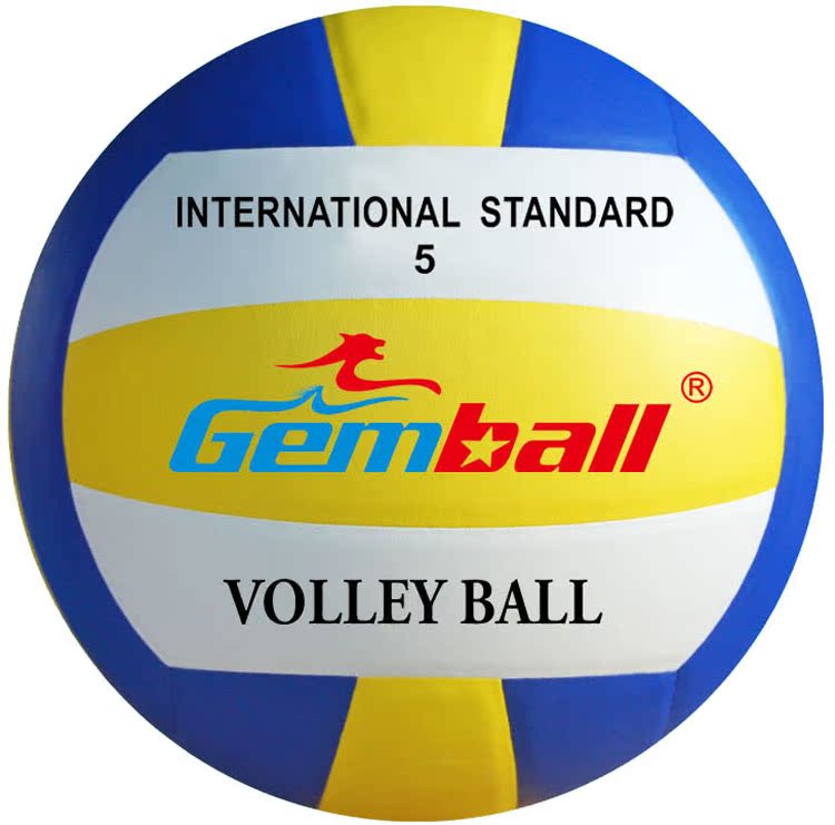 Ballon de volley - Ref 2008930 Image 3