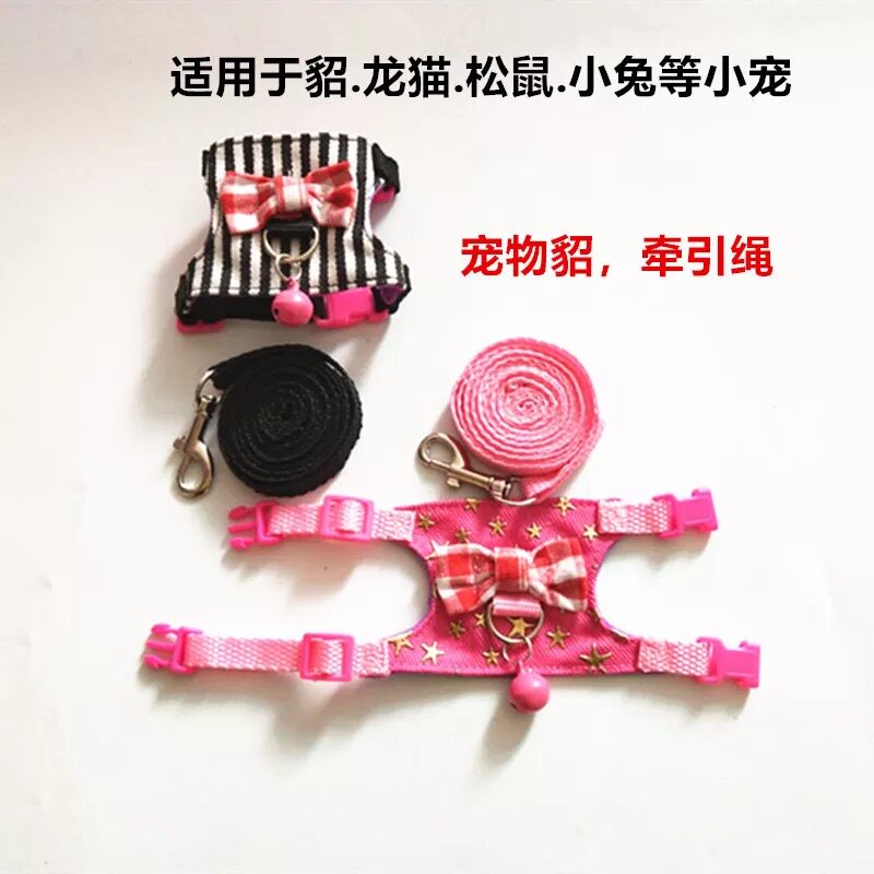 Ferret Dragon Cat Magic King Squirrel Small Squirrel Dutch Pig Rabbit Breast Cuddle Baby Bag Style Little Angel Wings Traction Rope