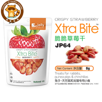 Jolly Zolly strawberry dry apple dry dragon cat hamster fruit snacks supplement vitamin small animal snacks