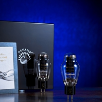 New PSVANE aristocratic voice reinsincere WE300B 300B electronic tube surrogacy sound Twilight EH