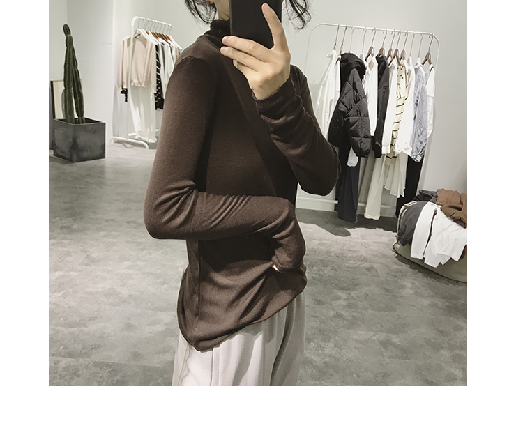 Áo thun cổ lọ cao cổ nữ mùa thu và co giãn mỏng là phiên bản Hàn Quốc mỏng của áo thun dài tay đơn giản màu cơ bản áo thun cá sấu nữ