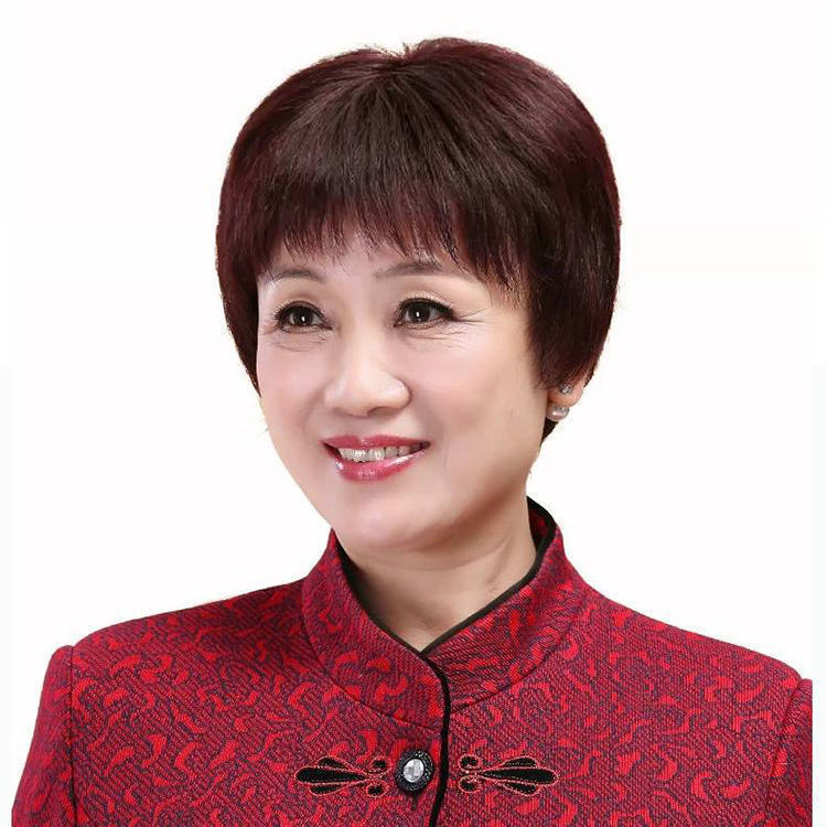 Wig for Middle-Aged and Elderly Women, Full Head, Realistic, Full Wig for Mothers and Grandmothers with Round Faces, Short Hair, 50 Years Old, Covers Gray Hair