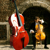 Prormologie précoce couleur violoncelle couleur cellulite matte blanc brillant blanc brillant violoncelle instruments haut de gamme