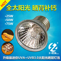 Sea Forest Reptile UVA UVB3 0 heating lamp turtle tank pet sun lamp water turtle heating sun light bulb