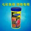 Sea forest colorful angelfish with colorful fish food Zengyan fish food small fish pellets feed fish 90g