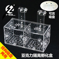 Sea forest acrylic incubator box fighting fish isolation box adhesive hook sucker Fry Guppy protection breeding box large