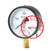 YZS-102 Double Needle Pressure Gauge Measuring Hydraulic and Cylinder Pressure Double Needle Double Pipe Pressure Gauge