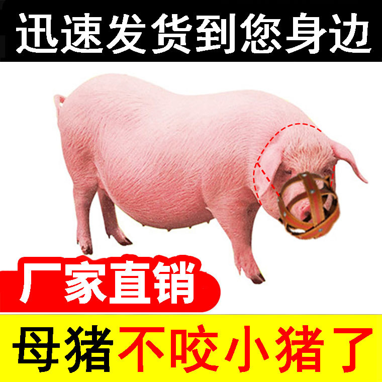 Pig Mouth Sow Anti Bite Piggy Pig Condom anti-bite dog Sow Mouth Set Mau Sheep Defense Eat and Pig With Special