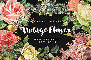 经典水彩手绘花卉婚礼素材 Large Vintage Flower Graphics No. 3