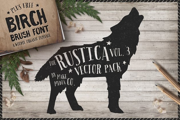 大气的手绘笔刷字体素材 Rustica Vol. 3 + Birch Brush Font设计素材模板