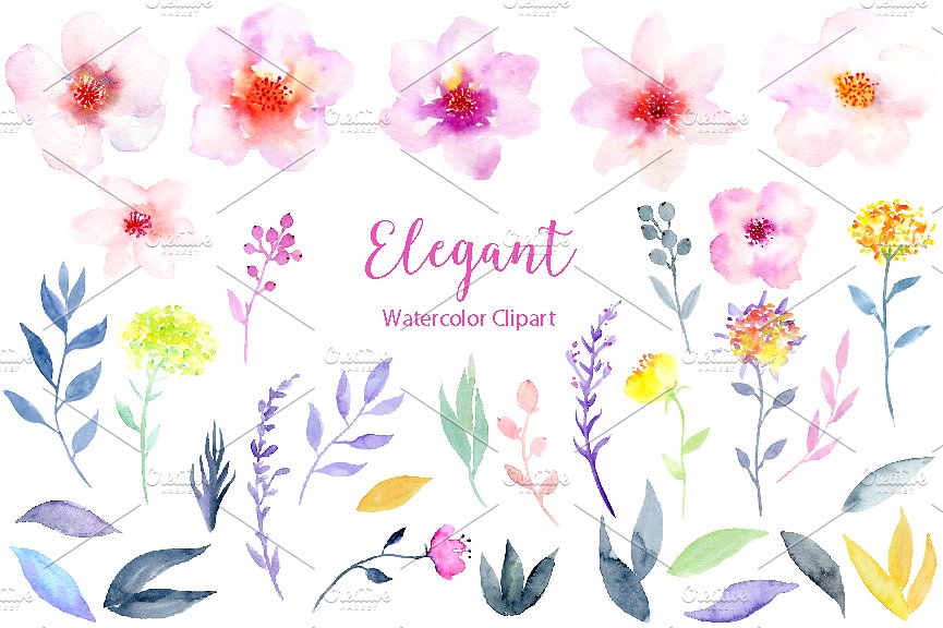 水彩花卉精品图案素材 Watercolor Flower Clipart Elegant设计素材模板