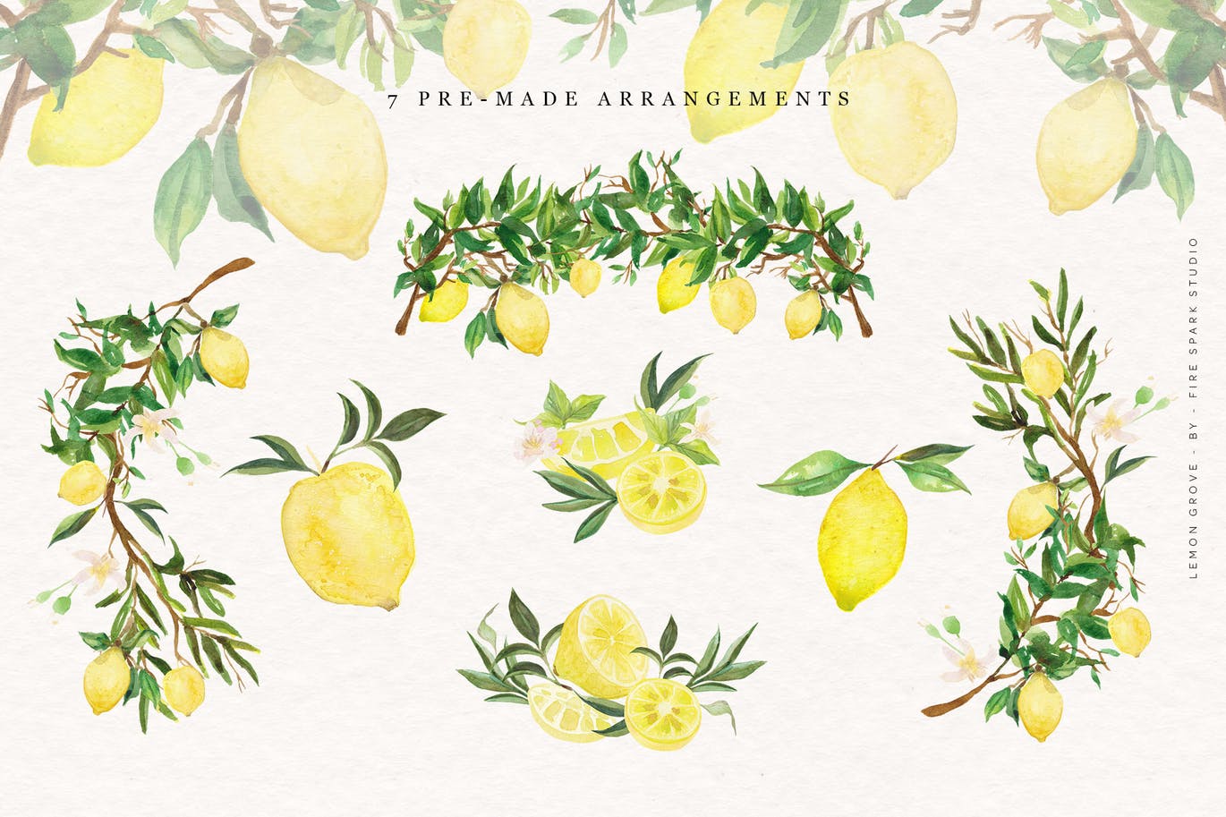 柠檬树水彩手绘矢量插画素材 Lemon Grove Watercolor Illustrations设计素材模板