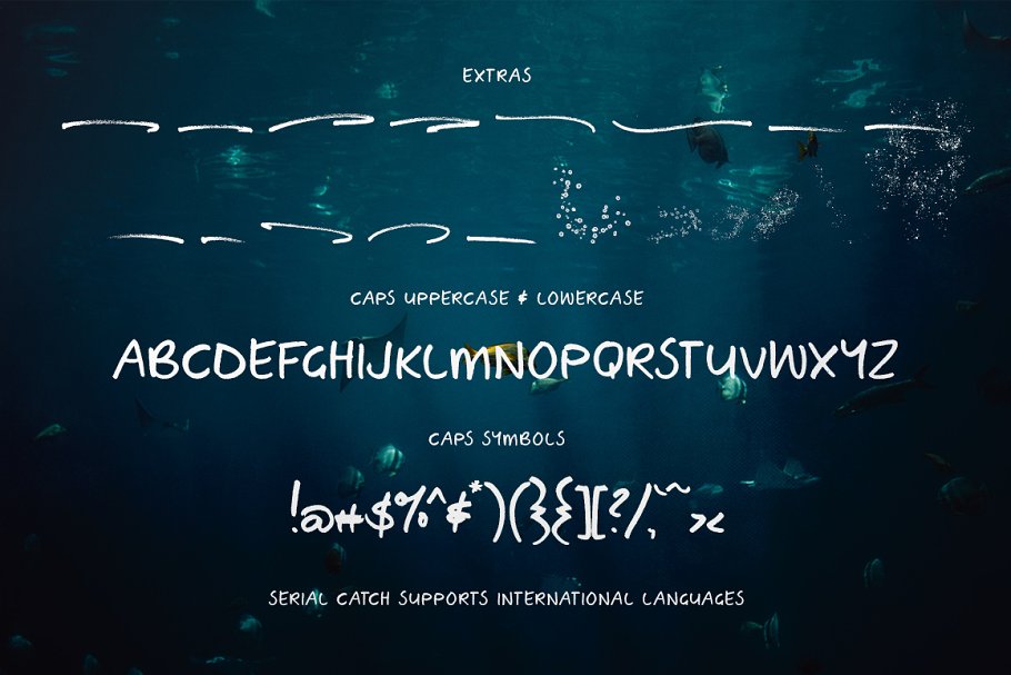 手写英文设计字体 Serial Catch Font设计素材模板