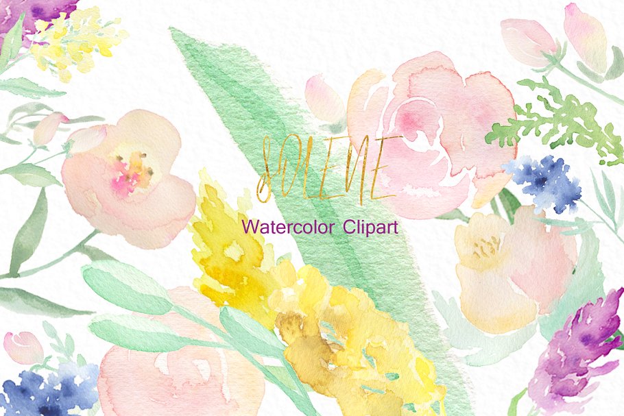 精致的水彩花卉logo设计 Soft pinkWatercolor flowers设计素材模板