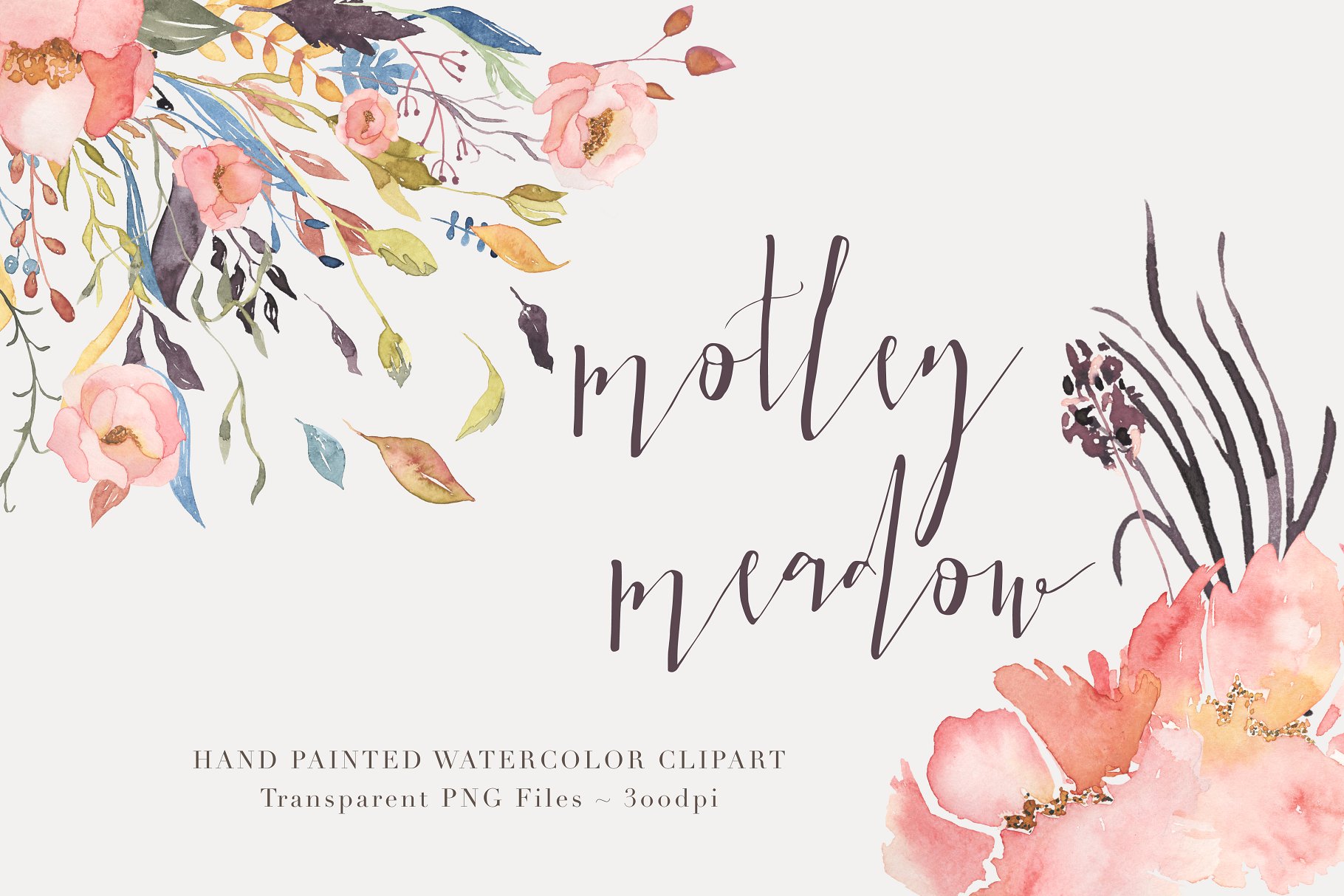 水彩花卉剪贴画 Watercolor Floral Clipart – Motley设计素材模板