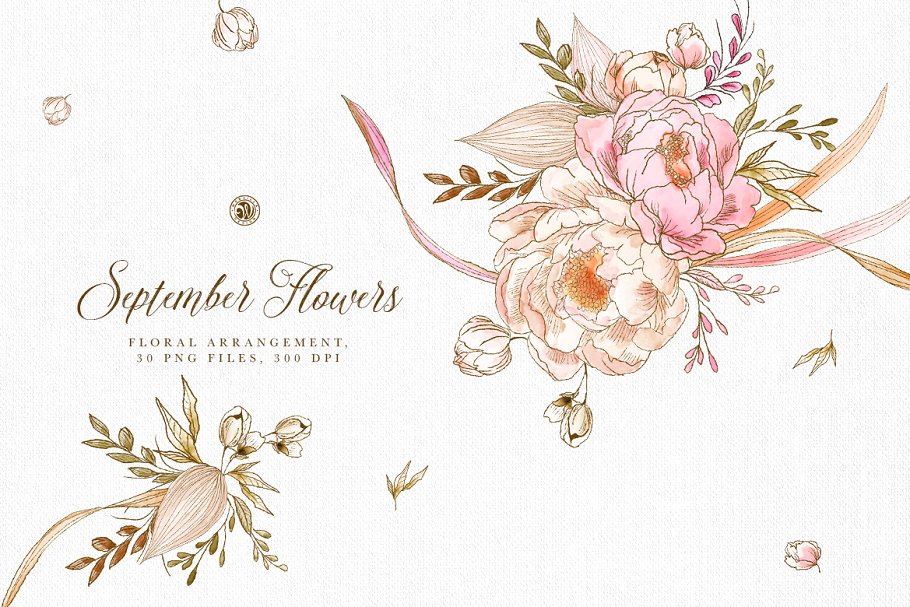 插画九月花卉素材 September Flowers设计素材模板