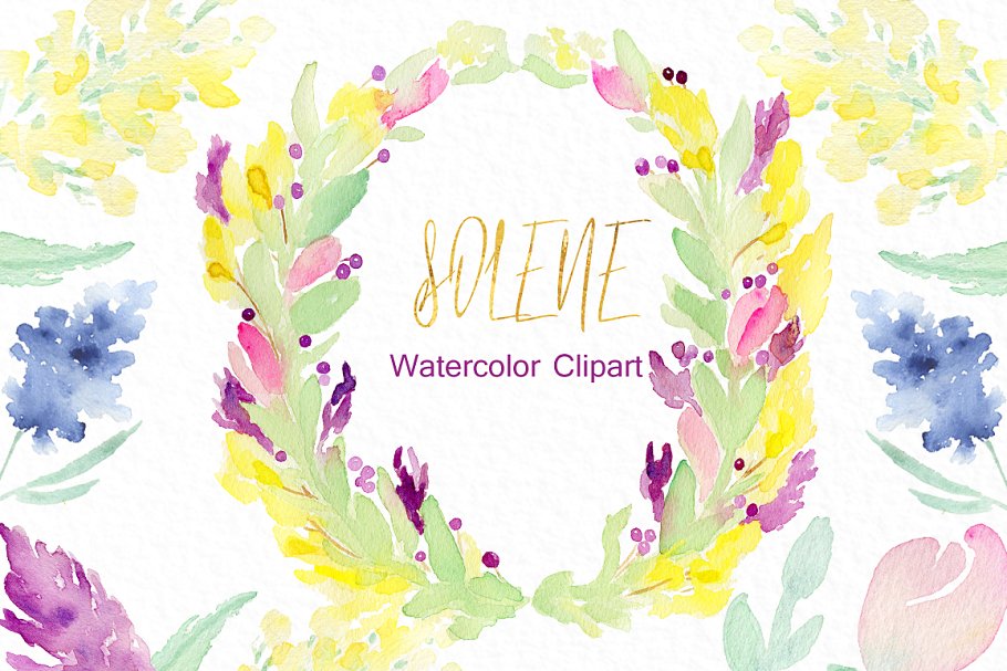 精致的水彩花卉logo设计 Soft pinkWatercolor flowers设计素材模板