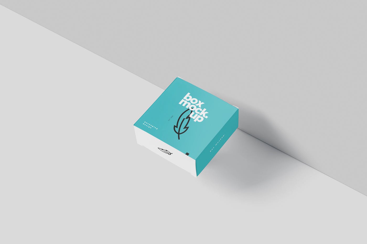 扁平方形包装盒外观设计效果图样机 Box Mockup – Square Slim Size设计素材模板