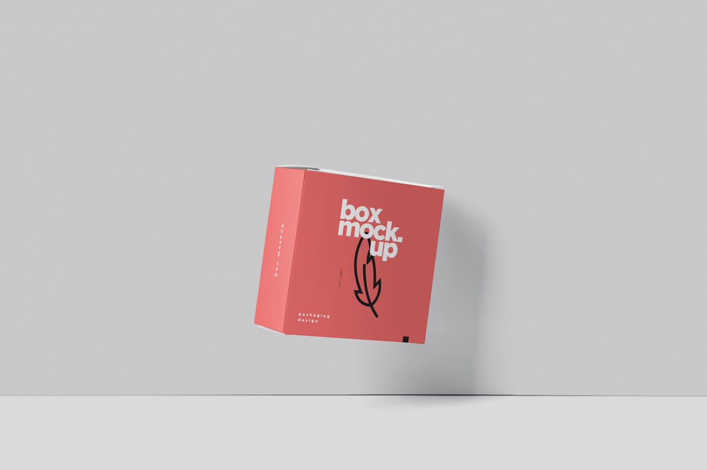 扁平方形包装盒外观设计效果图样机 Box Mockup – Square Slim Size设计素材模板