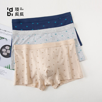 Top quack shorts top melon new three mens mid-waist boxer underwear youth fashion bottoms