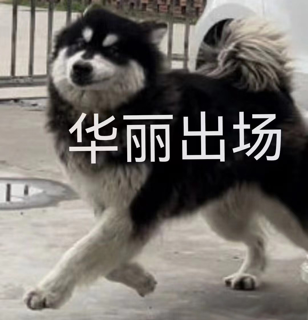 卖拼图的小男孩的LOGO