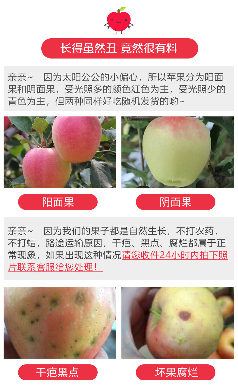 福瑞达 陕西现摘冰糖心红富士 净重10斤 图3