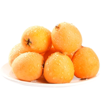 Branch Rice Easy Loquat Fresh Loquat Fresh Loquat Fruit Pipa Loquat Fresh Fruch Whole