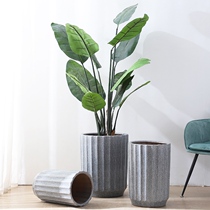 Tiantang bird special flower pot 2021 new ceramic special large size tiger Piran Deep high basin manufacturer direct sales over 30cm