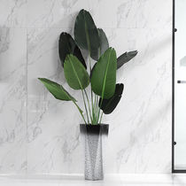 Nordic minimalist creative ceramic flowerpots Large size tiger Piran high cylinder landing living-room dark high basin clear cabin