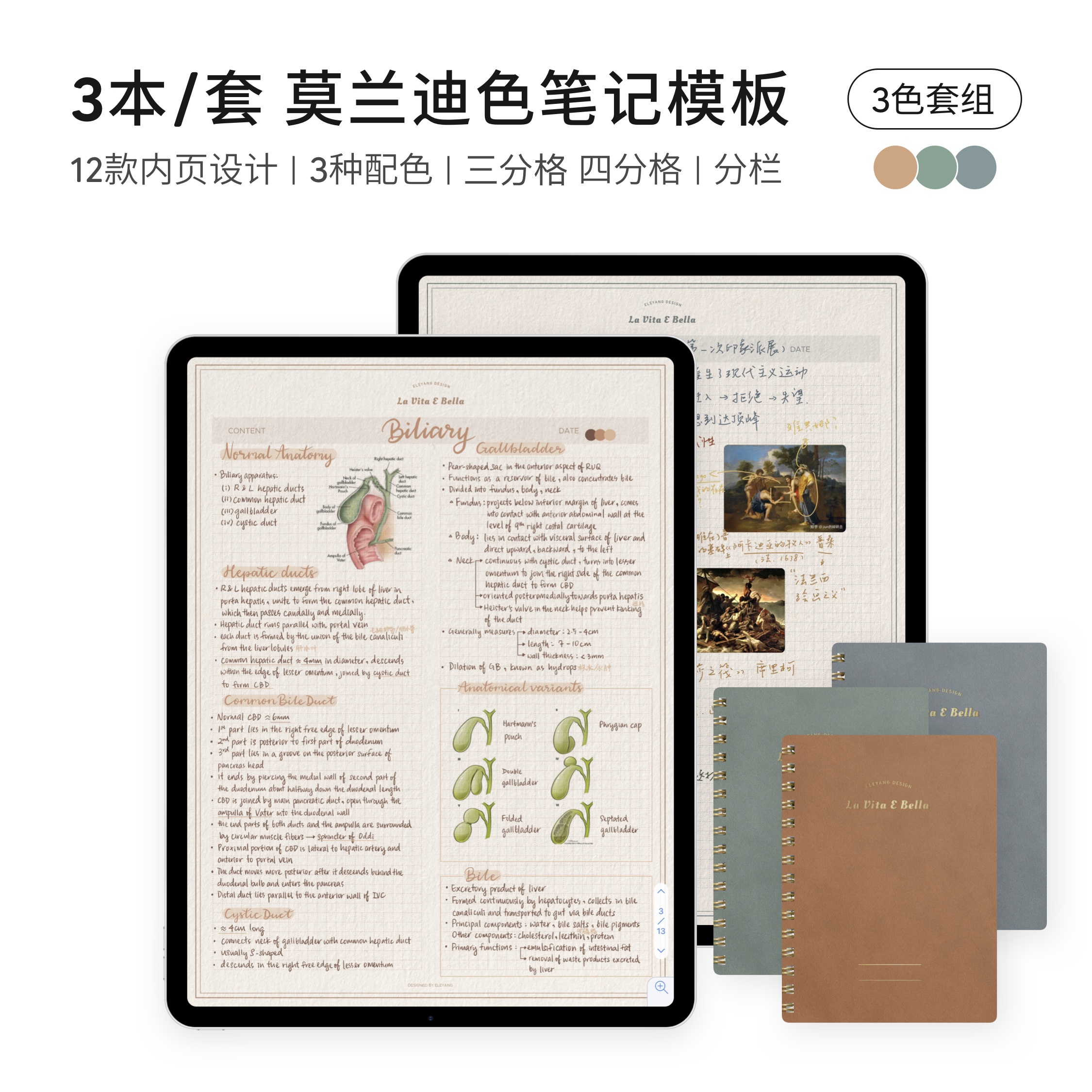 Eye protection paper veins) Regular inner page) 3 This) notability) Goodnotes) iPad notes) hungry sheep