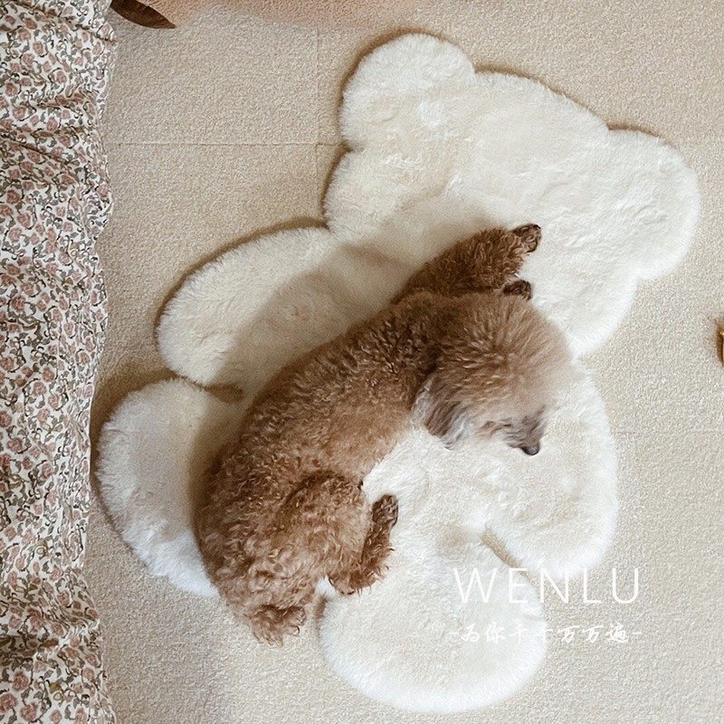 Ask the way, winter has you, autumn and winter pet warm pad dog cat plush sleeping pad pet floor mat carpet small dog