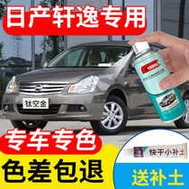 Applicable Nissan Classic Xuan Comfort Paint Pen Titanium Empty Gold Car Paint Scratches Repair Tungsten Steel Grey Pearlized White Self Spray Paint