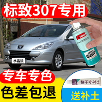 Peugeot 307 self-spray painted crystal silver color logo automotive lacquer repair Rhine-grey platinum Grey Tonic Lacquered Pen Polenta