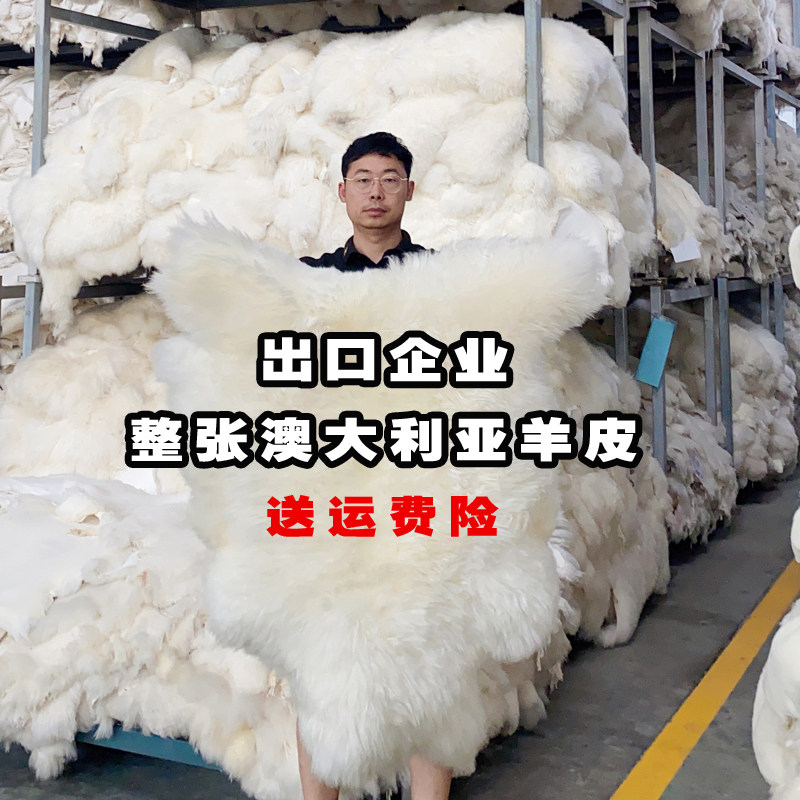 Australia Whole Sheepskin Length Wool Cushion Rug Carpet Living-room Bedside Blanket Sofa Cushion Floating Window Mat Fur