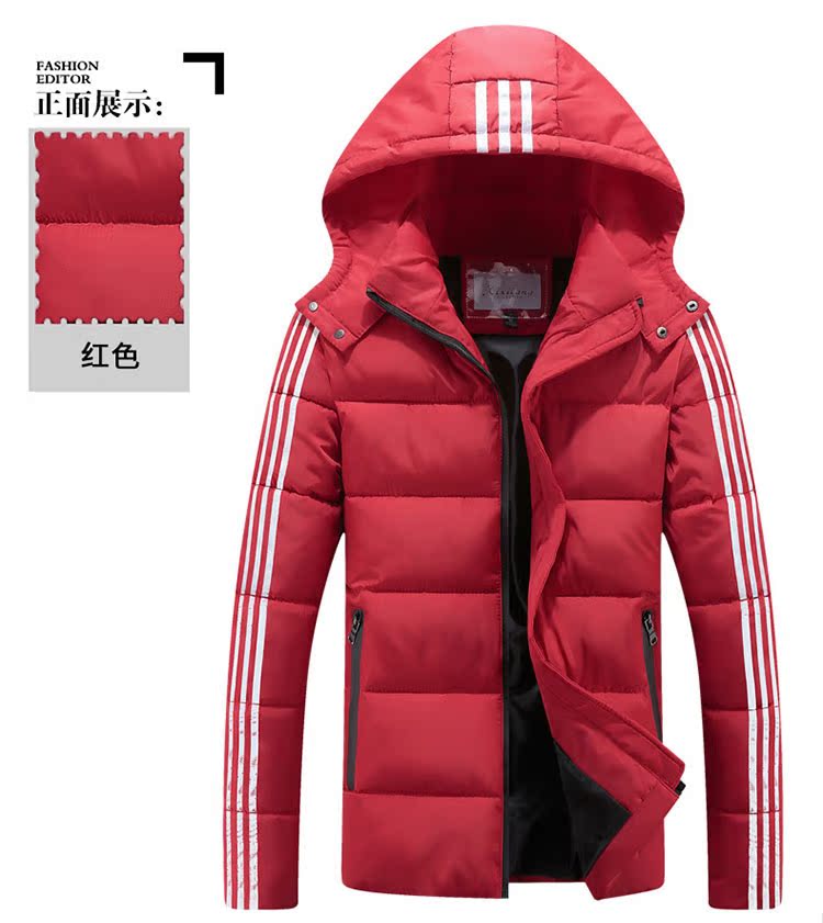 Blouson chaud pour homme   OTHER - Ref 3112699 Image 13