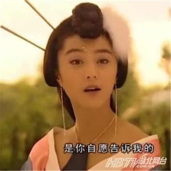 Extension cheveux - Chignon - Ref 236883 Image 12