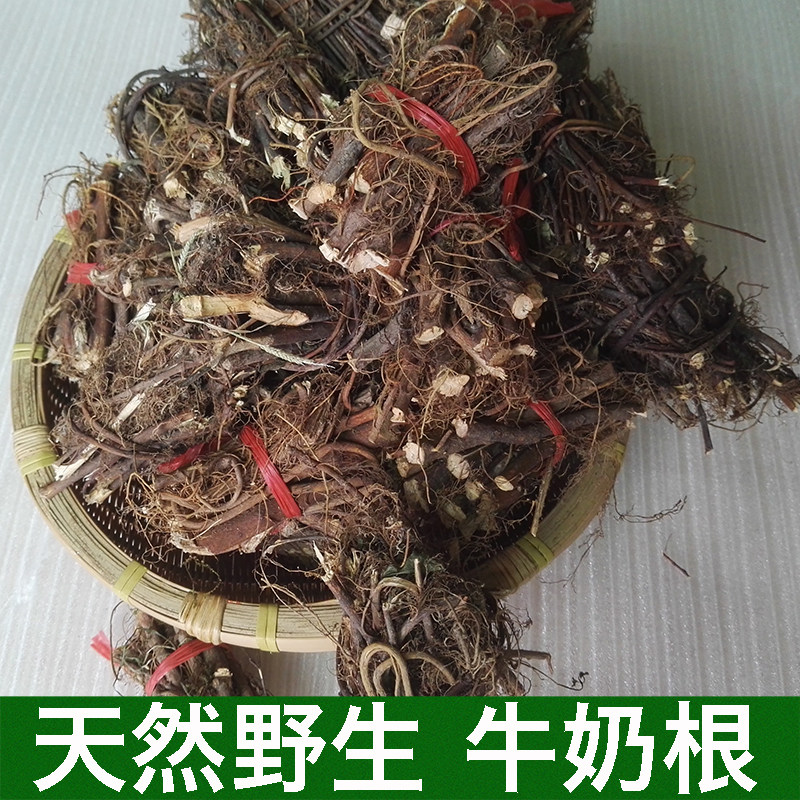 The milk root of the root of the milk root of the soup soup herb is 250g