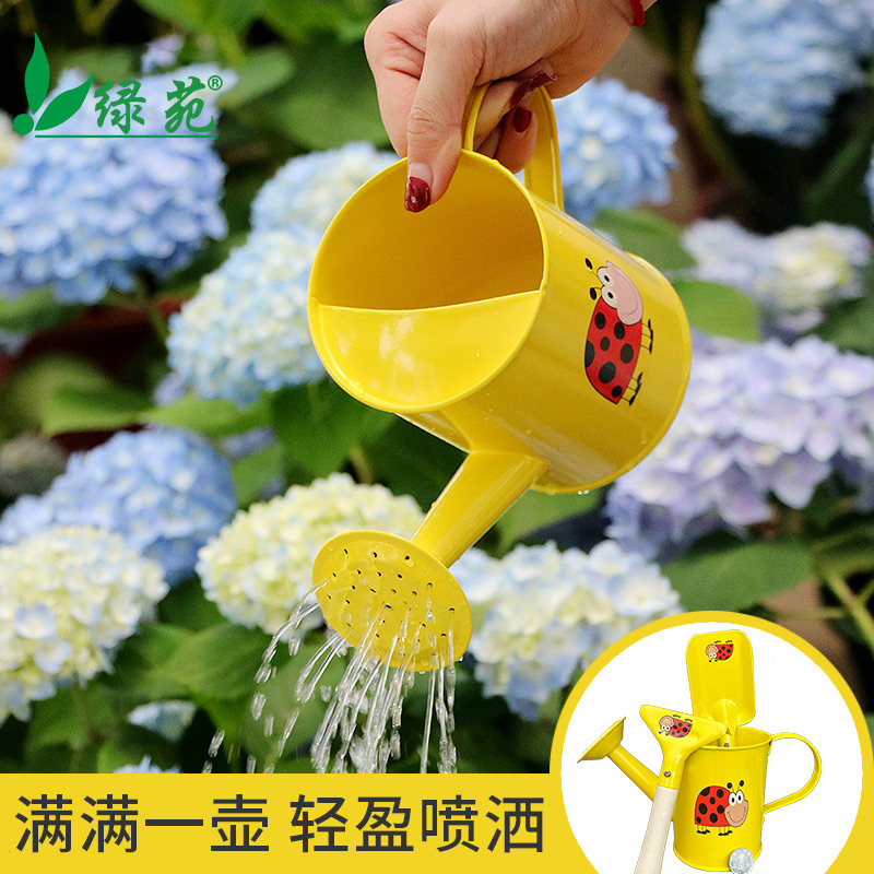 Gardening small household baby children's colorful tin sprinkler watering pot watering pot bucket flower arrangement flower decoration