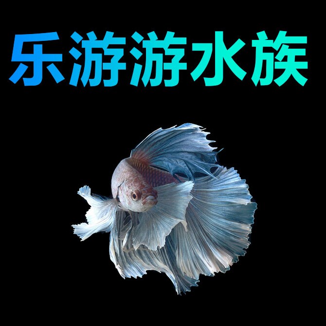 乐游游水族用品店的LOGO