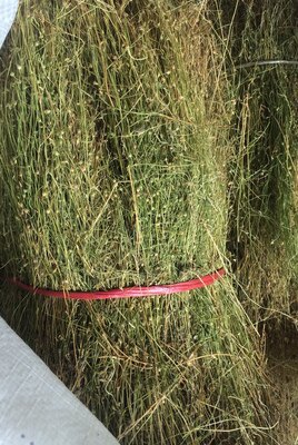 New 2021 Green Herb Chaoshan High Quality Four-leaf Lotus Sihe Lotus Sihe Mei Tianliang Grass 500g