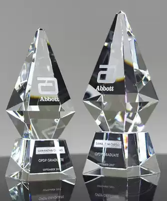 Normantic original diamond crystal award creative Cup high-end trophy custom company anniversary souvenir Award